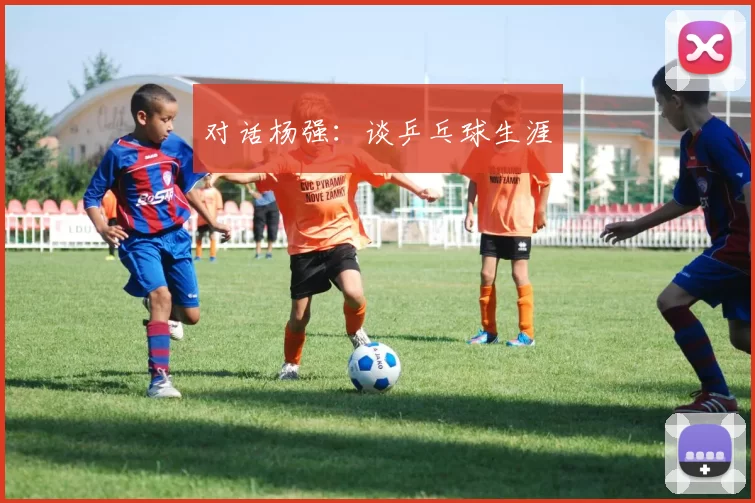 对话杨强：谈乒乓球生涯