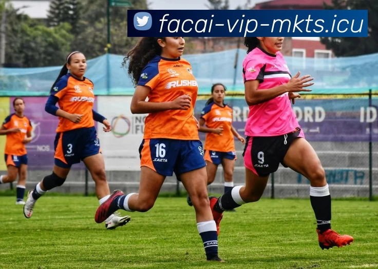 MK体育平台生态图